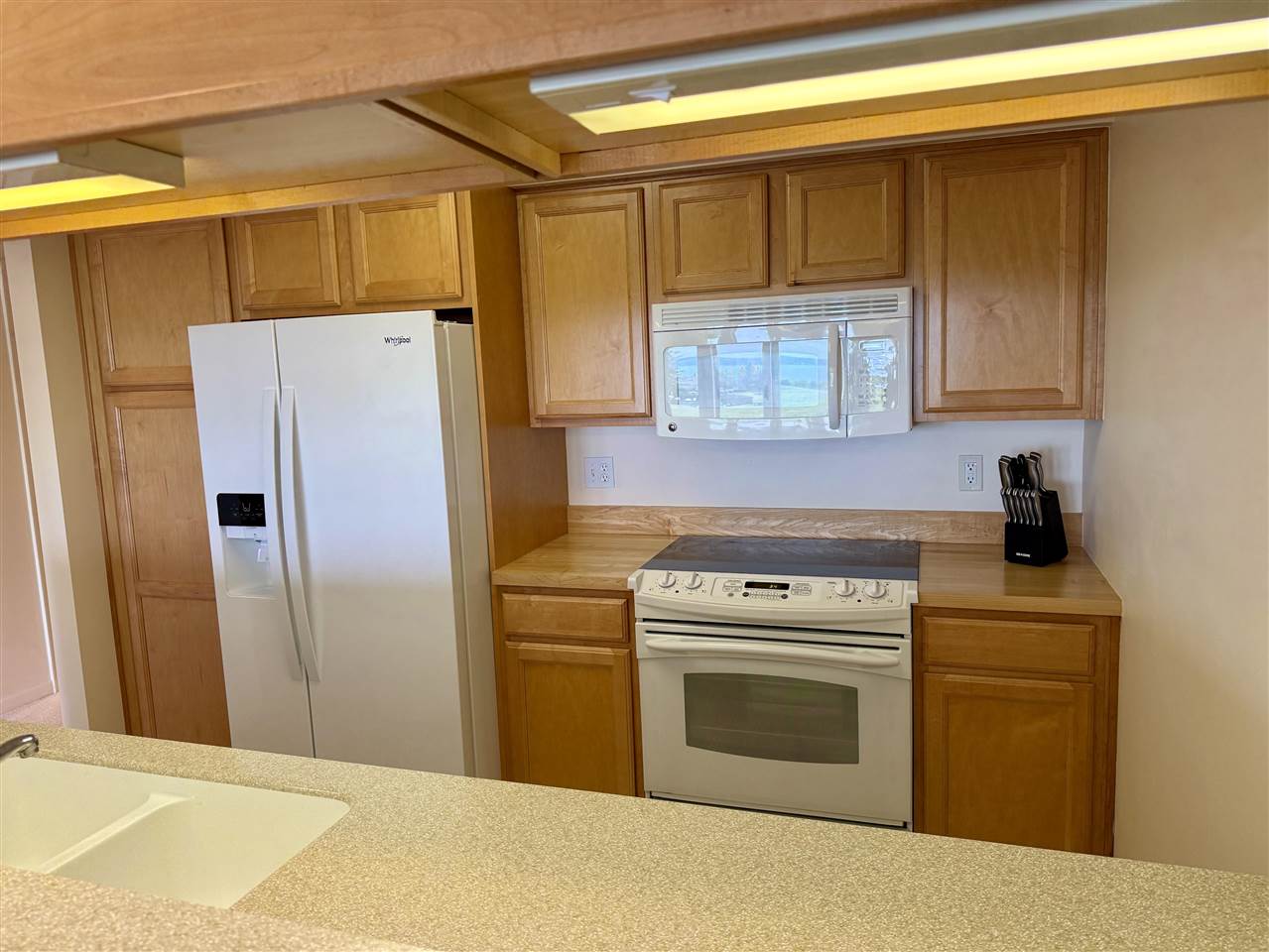 5435 Windigo Harbor Springs MI 49740