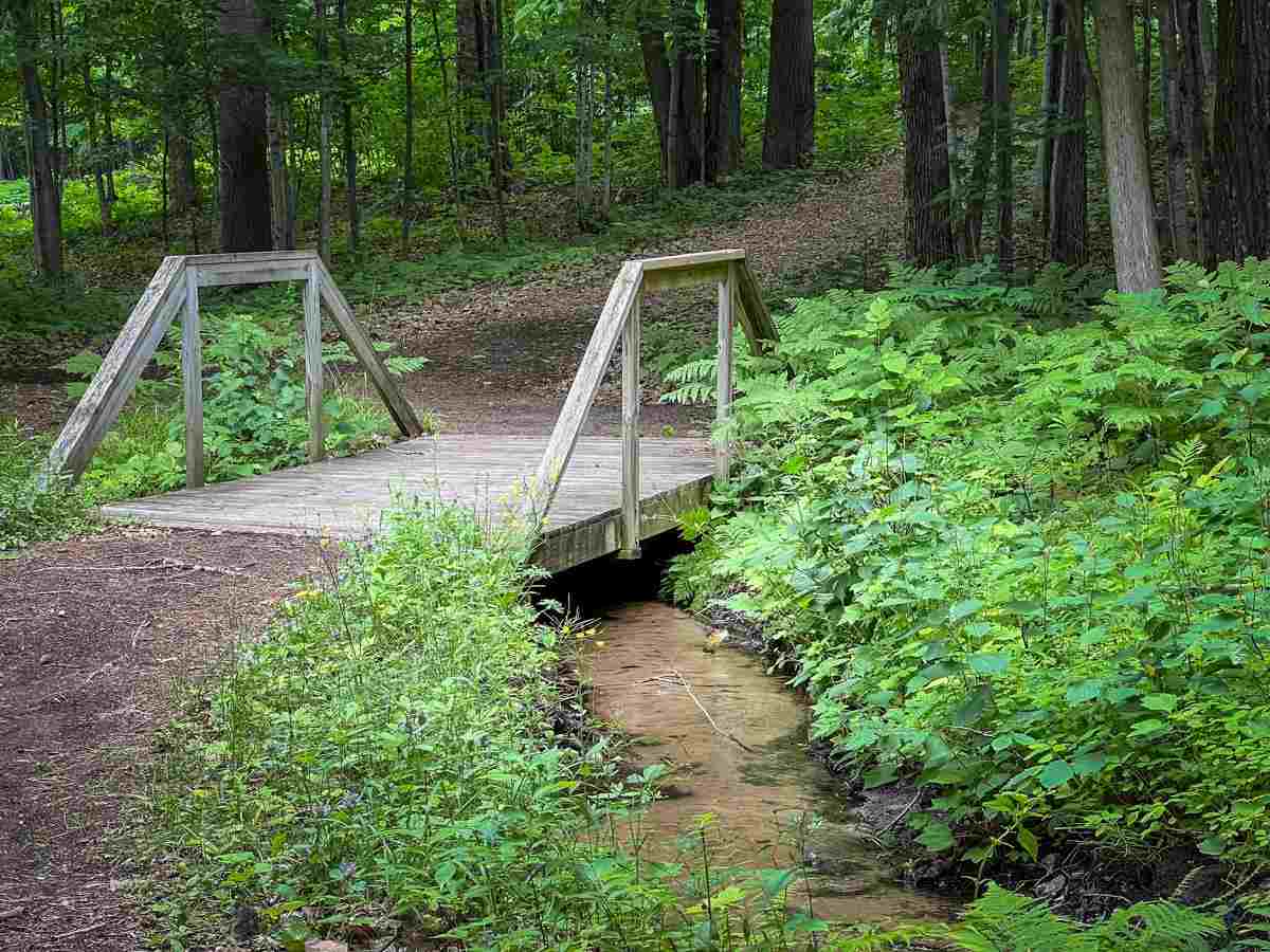 4749 S Pleasantview Road Harbor Springs MI 49740