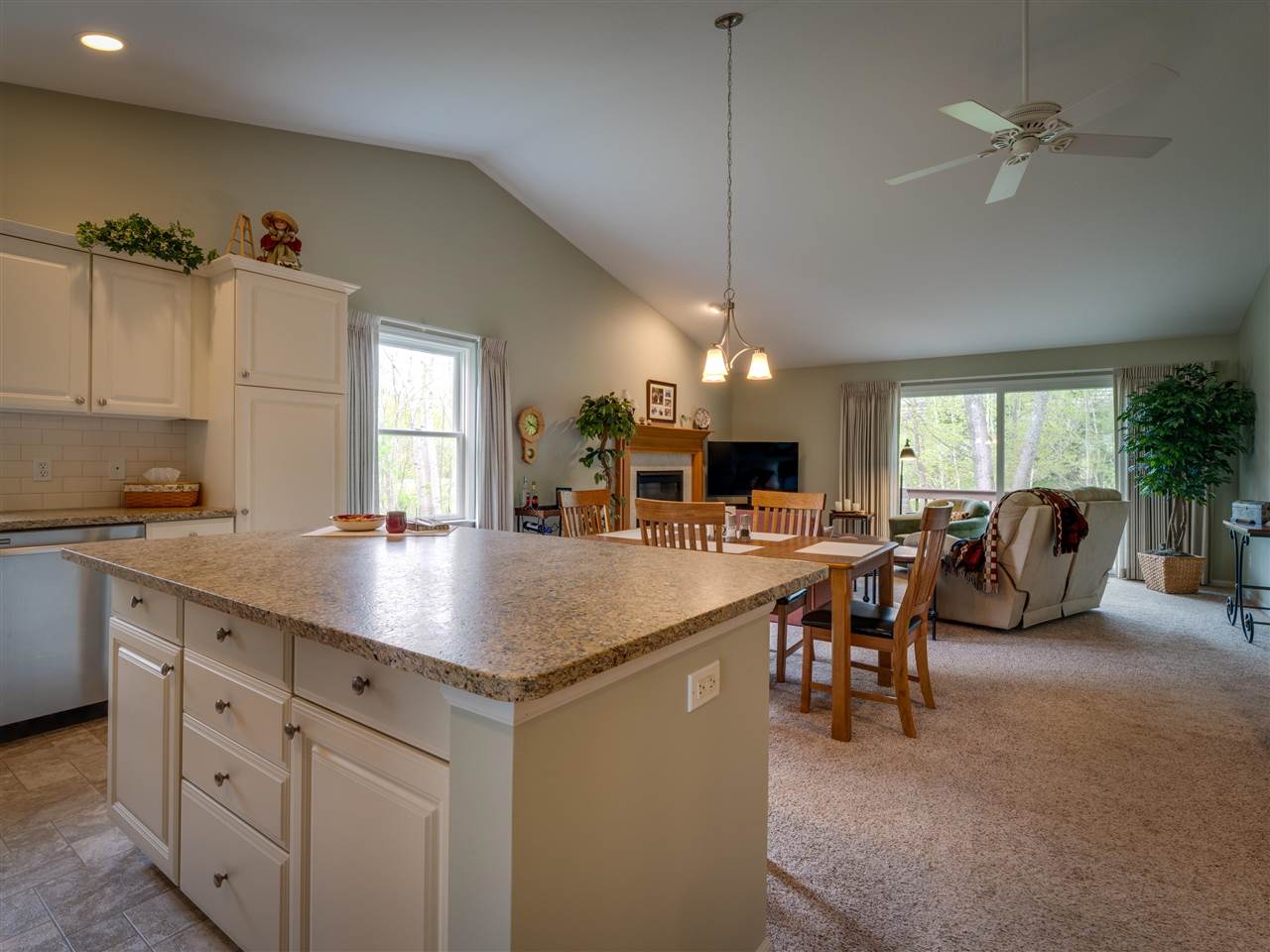 2194 Woods Lane Petoskey MI 49770