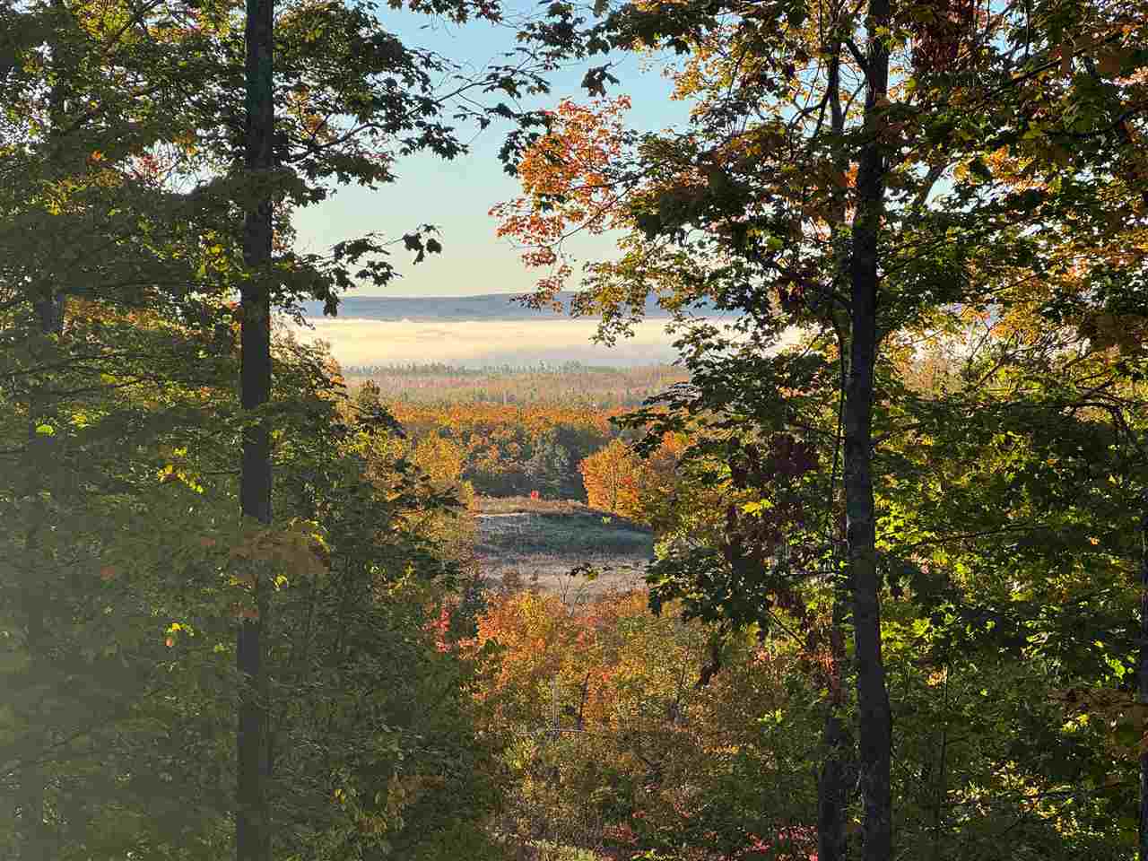 1185 Hideaway Valley Drive Harbor Springs MI 49740