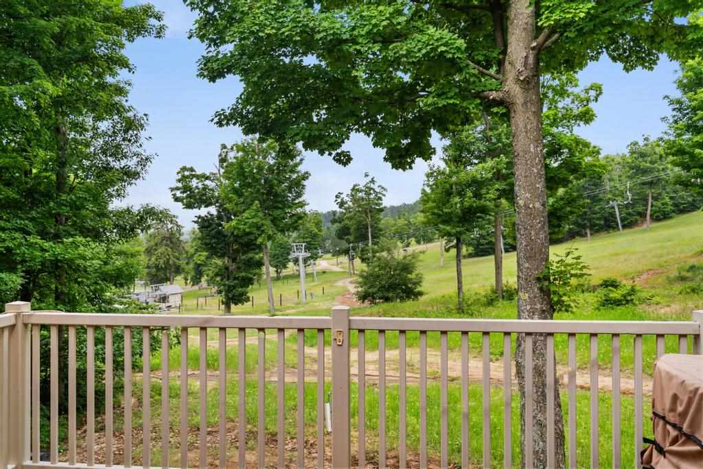 5165 Alpine Overpass Harbor Springs MI 49740