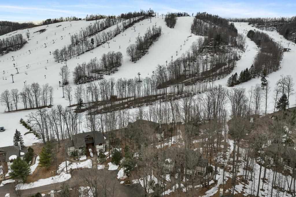 2172 Boyneland Drive Boyne Falls MI 49713