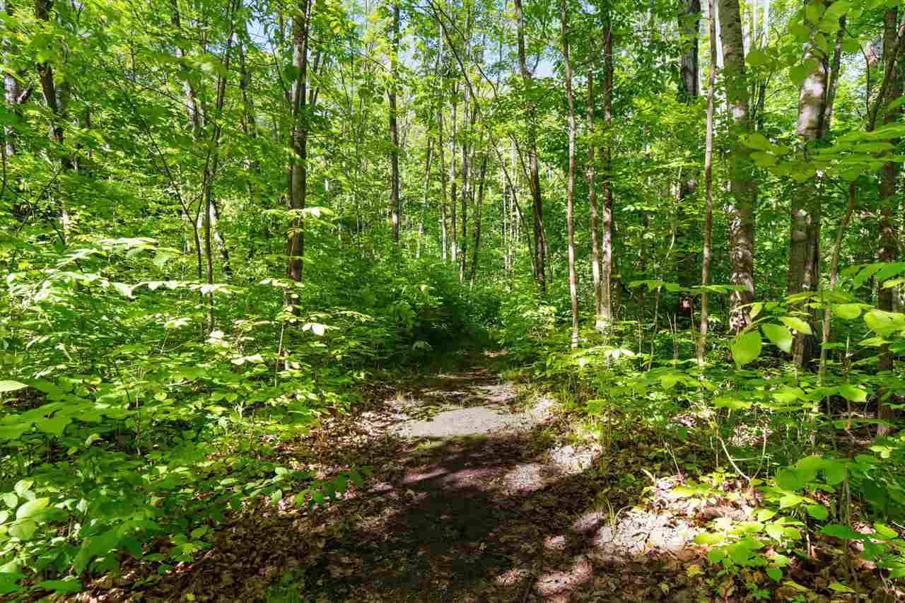 4749 S Pleasantview Road Harbor Springs MI 49740