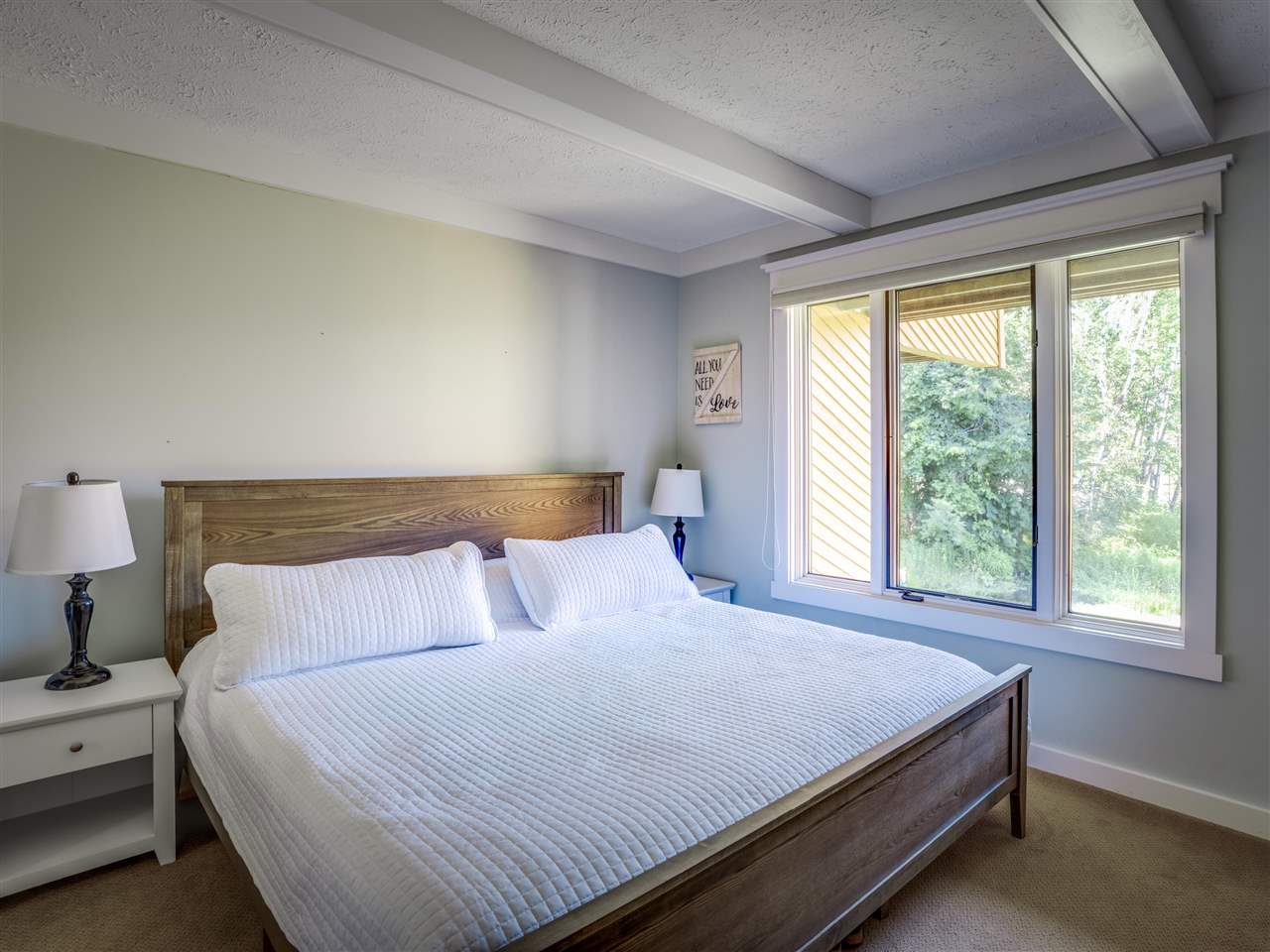 4749 S Pleasantview Harbor Springs MI 49740