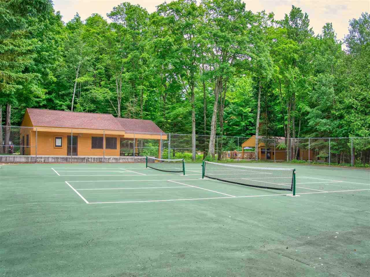 4749 S Pleasantview Harbor Springs MI 49740