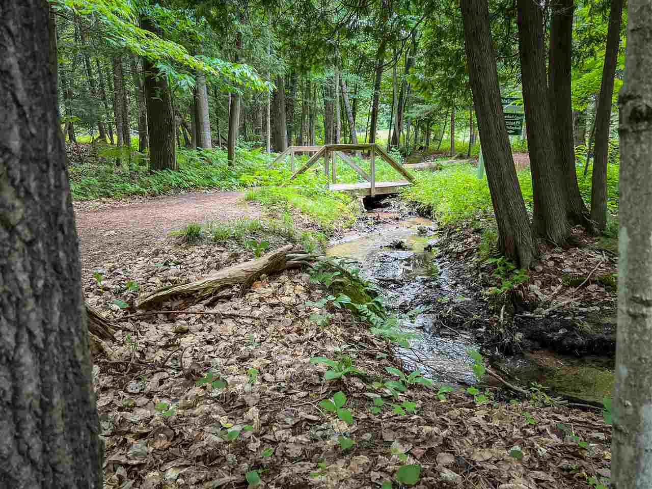 4749 S Pleasantview Harbor Springs MI 49740