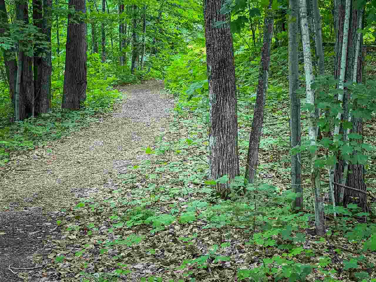 4749 S Pleasantview Harbor Springs MI 49740