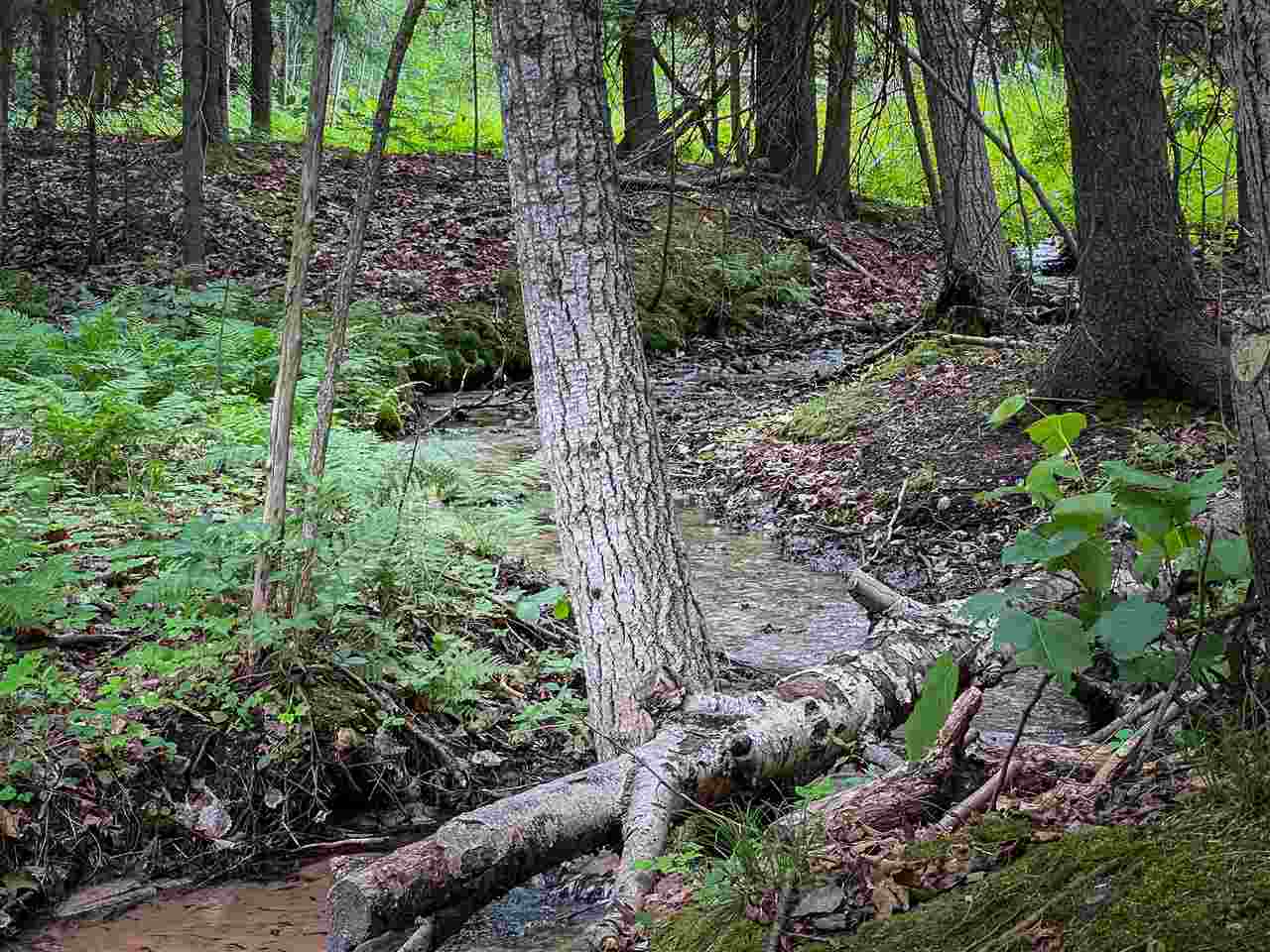 4749 S Pleasantview Harbor Springs MI 49740