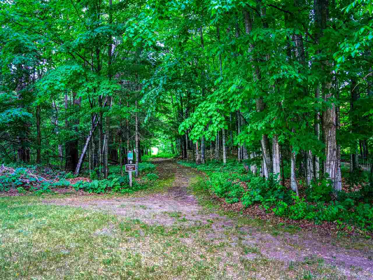 4749 S Pleasantview Harbor Springs MI 49740