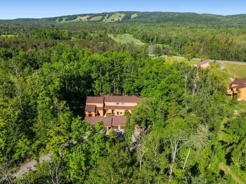 4749 S Pleasantview Road Harbor Springs MI 49740