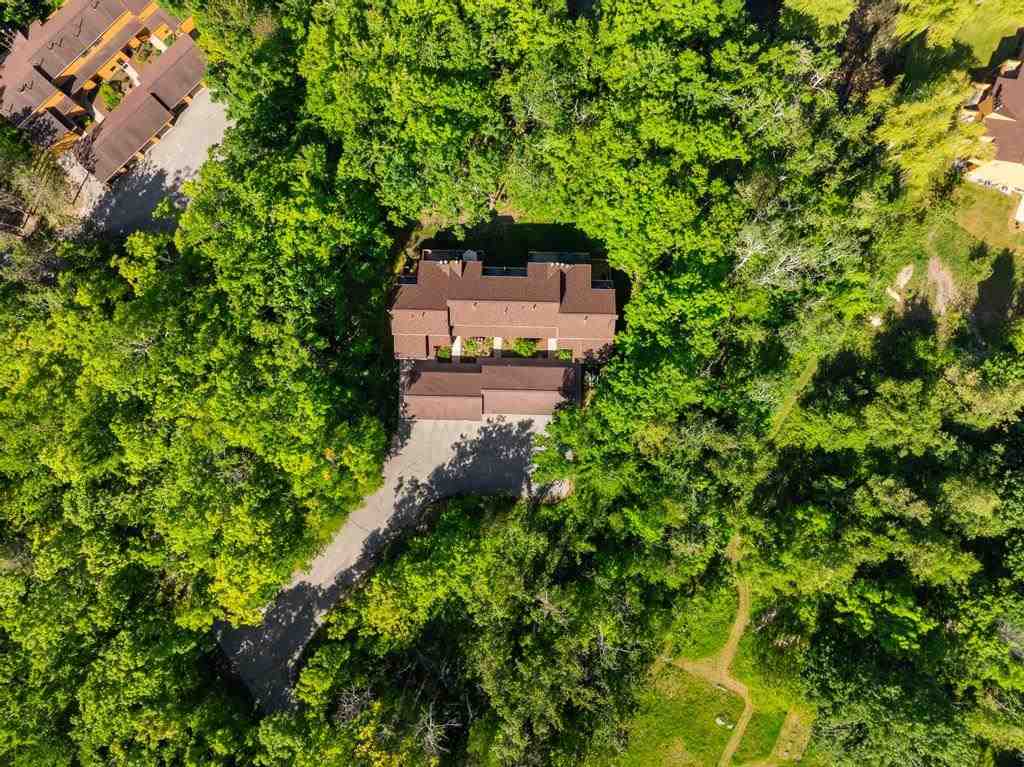 4749 S Pleasantview Road Harbor Springs MI 49740