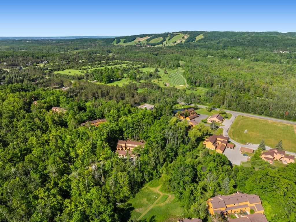 4749 S Pleasantview Road Harbor Springs MI 49740