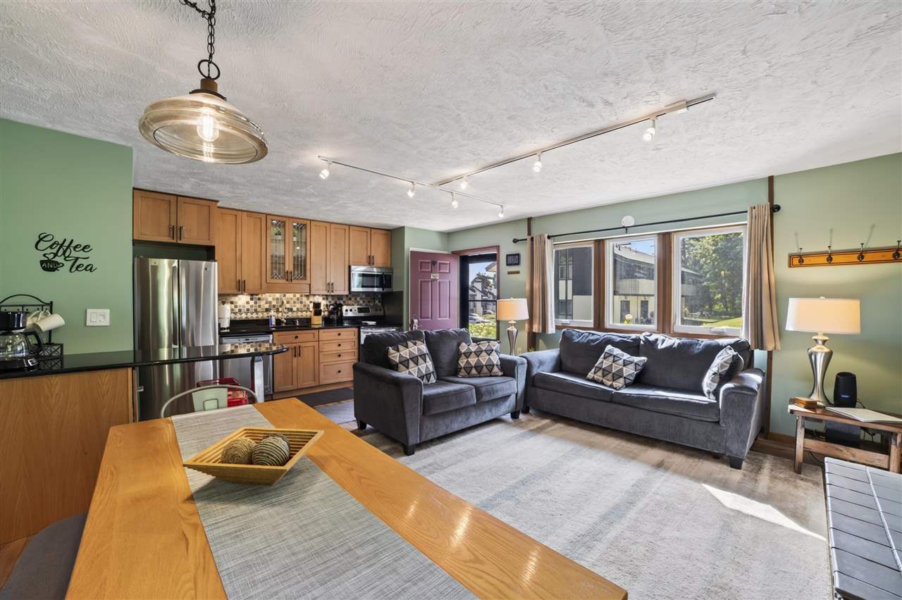 2519 Ramshead Condo Drive Boyne Falls MI 49713