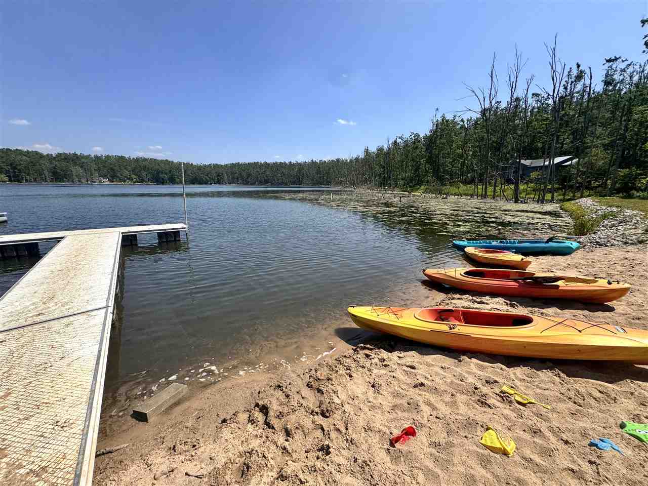 1941 Limberlost Gaylord MI 49735