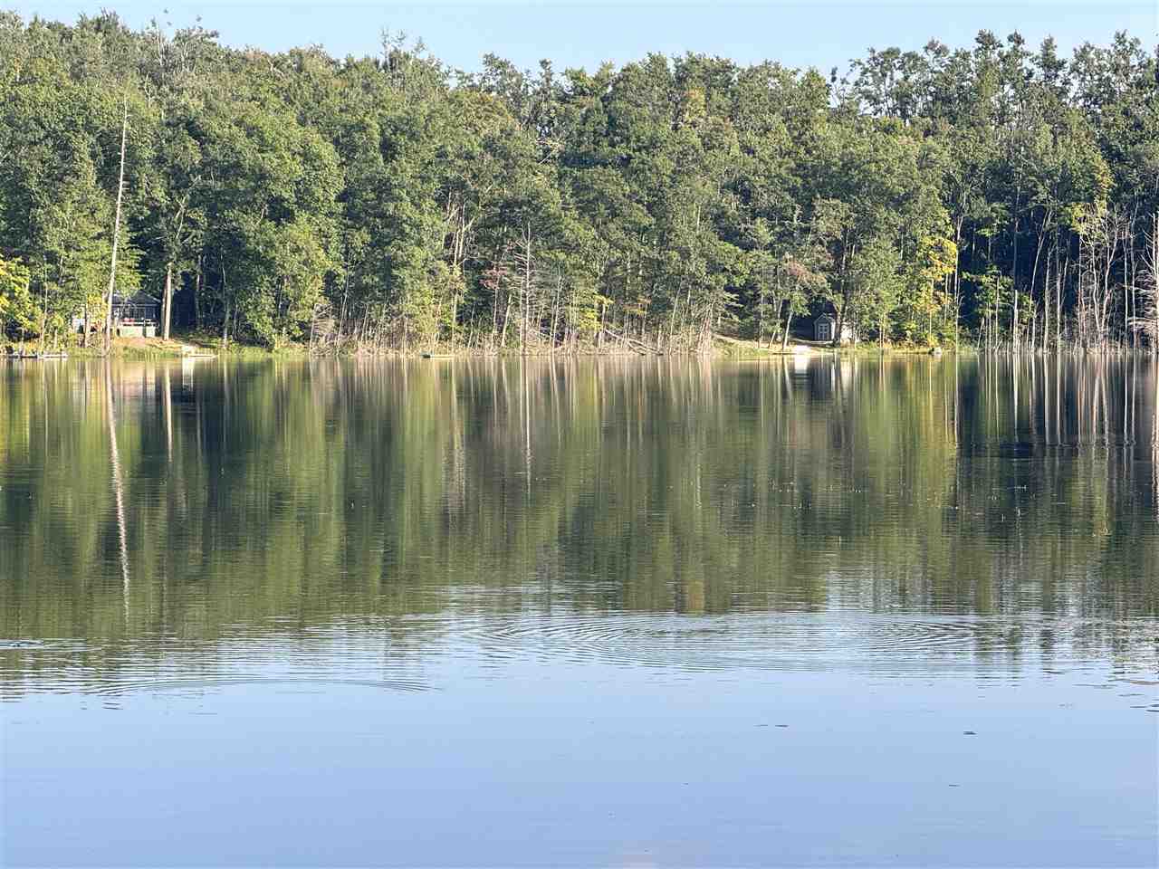 1941 Limberlost Gaylord MI 49735