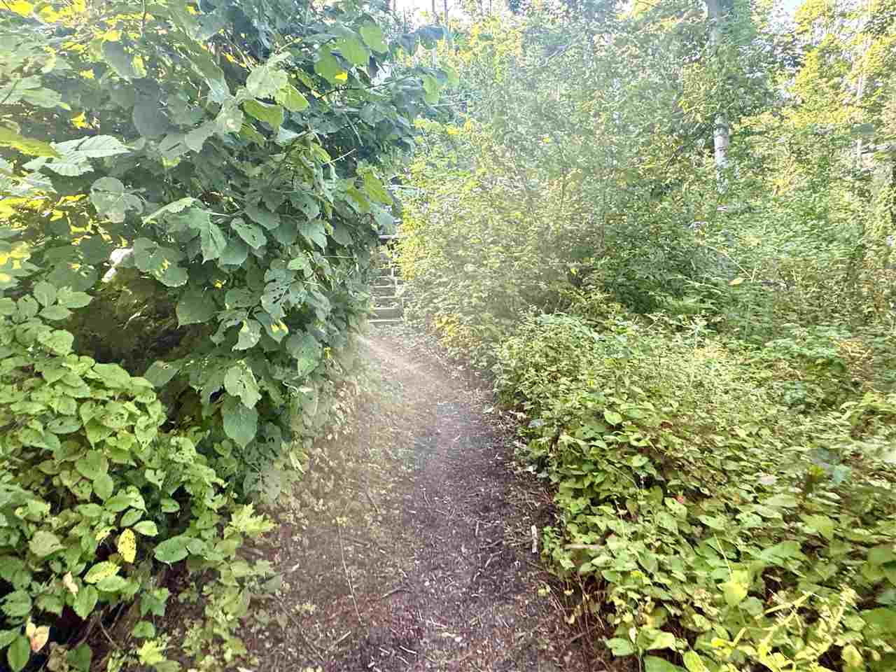 1941 Limberlost Gaylord MI 49735