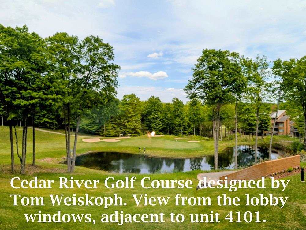 2400 Troon South Bellaire MI 49615