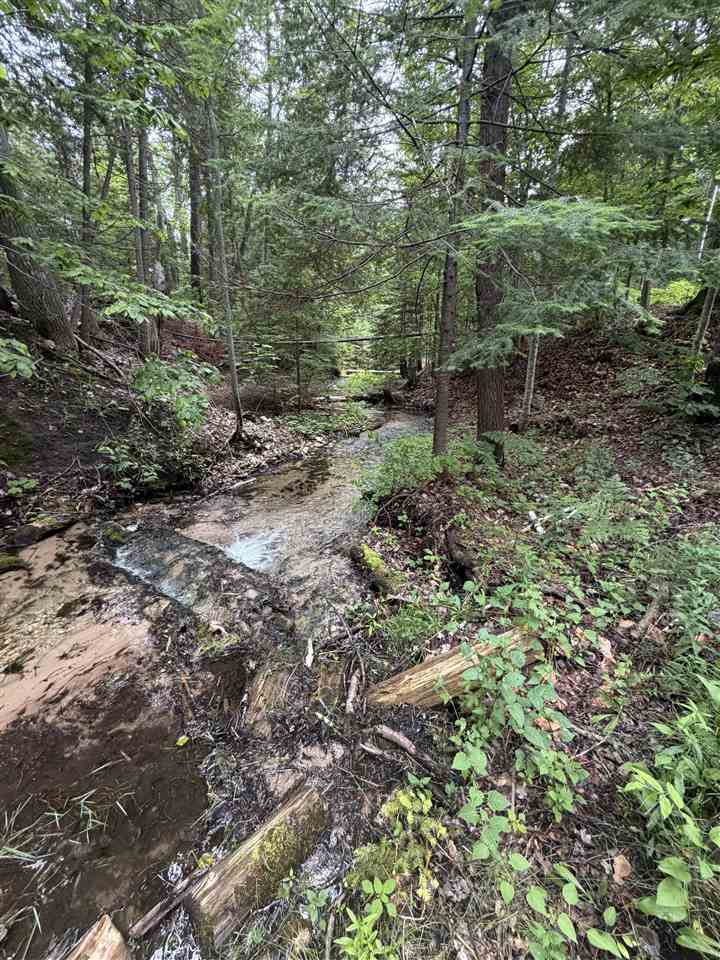 214 E Harbor Drive Harbor Springs MI 49740