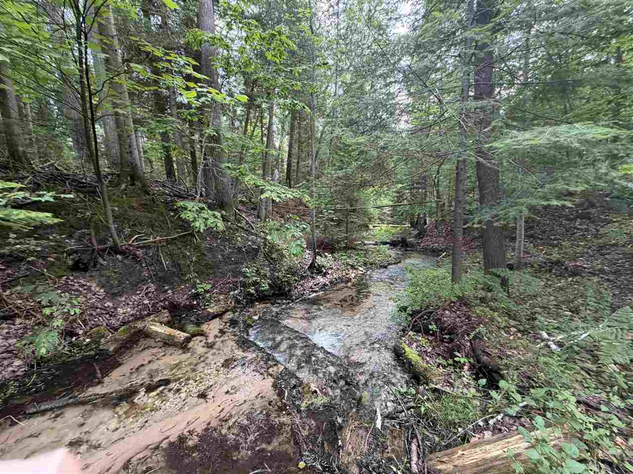 214 E Harbor Drive Harbor Springs MI 49740