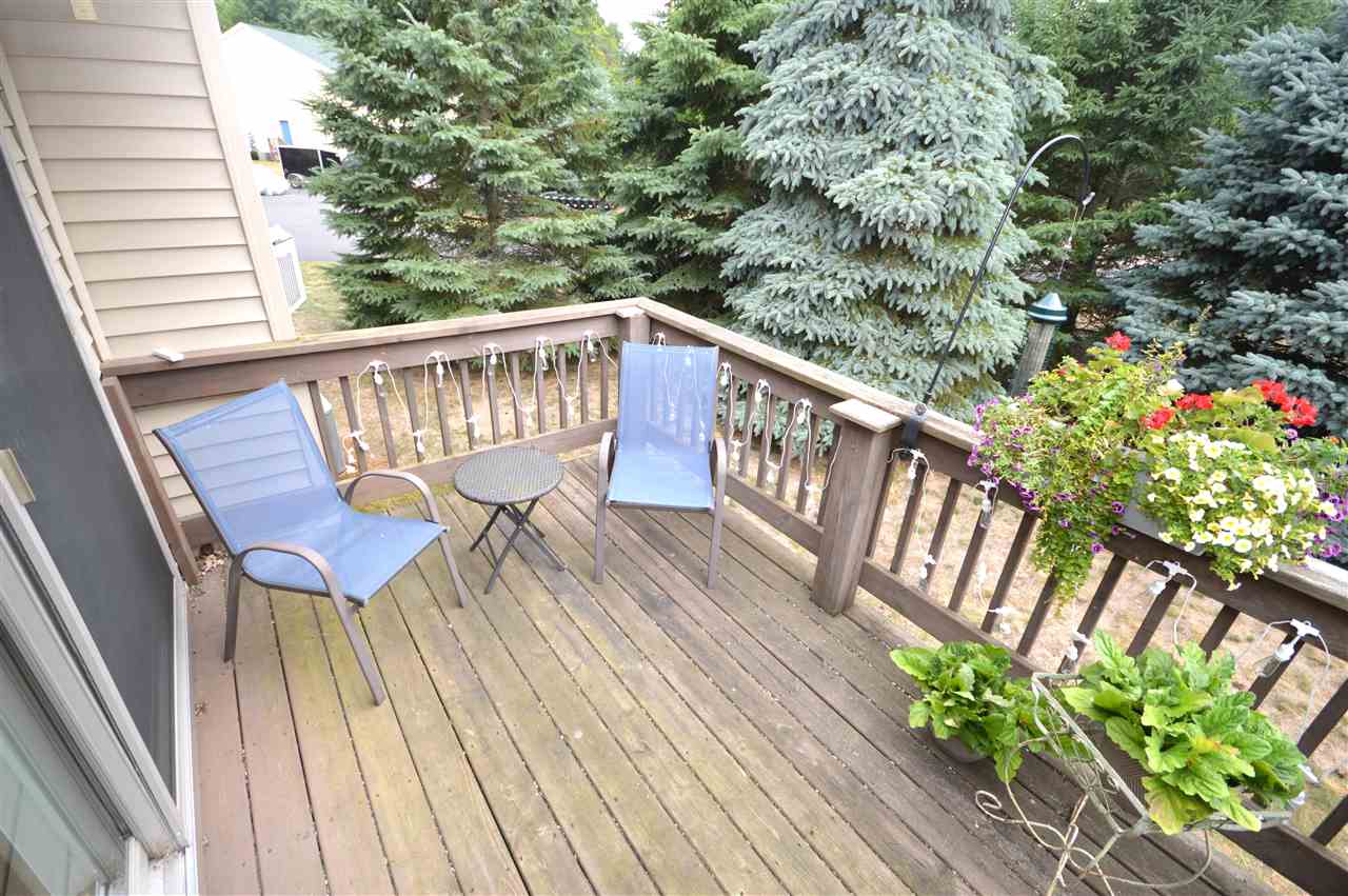 668 Poine Pointe Trail Boyne City MI 49712