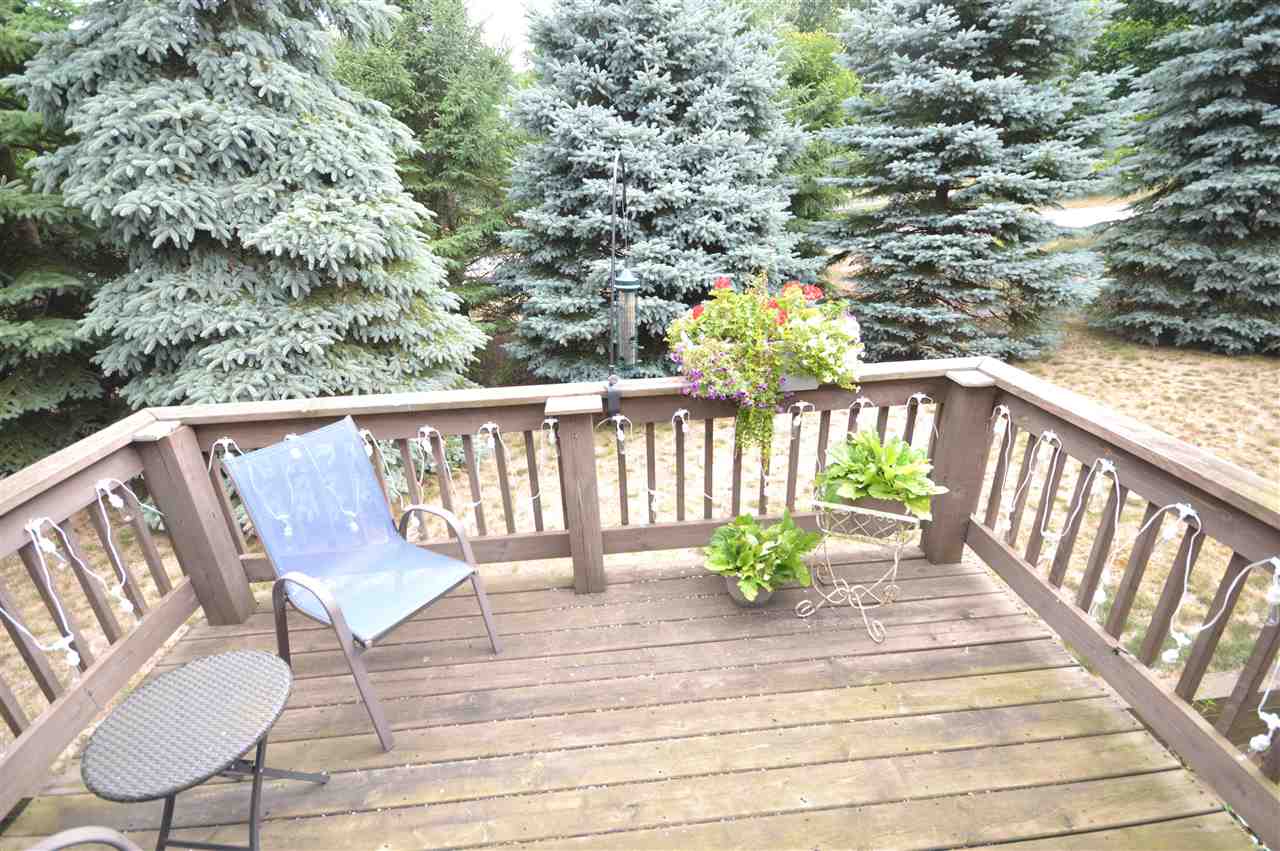 668 Poine Pointe Trail Boyne City MI 49712