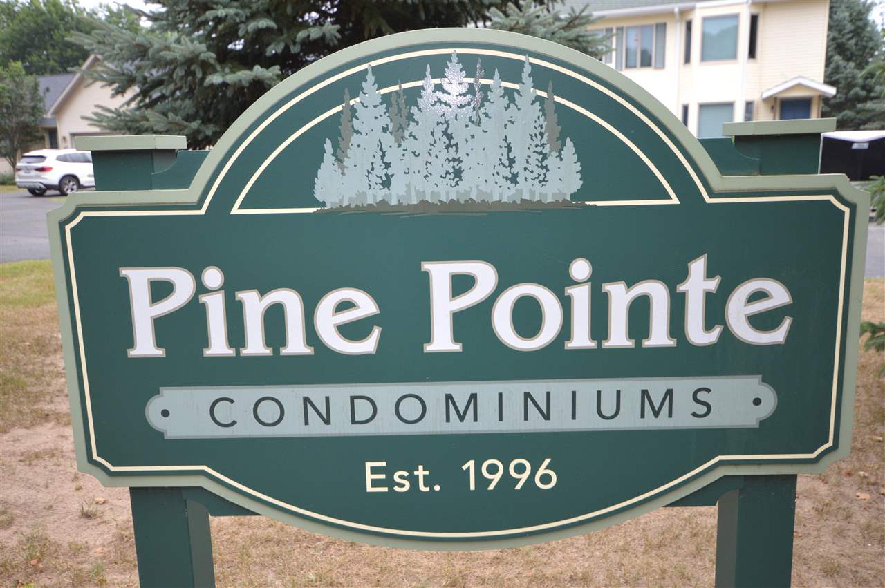 668 Poine Pointe Trail Boyne City MI 49712