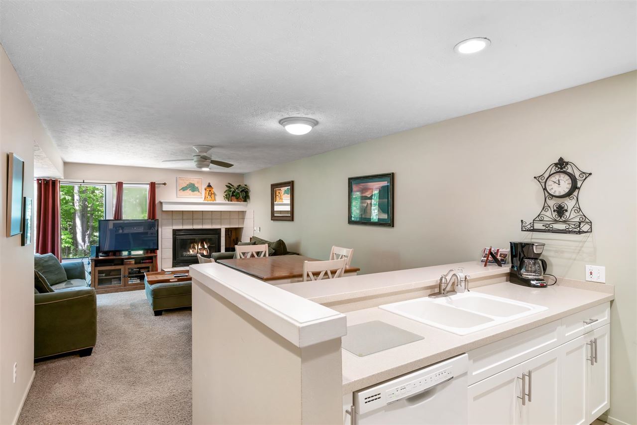 4749 S Pleasantview Road Harbor Springs MI 49740