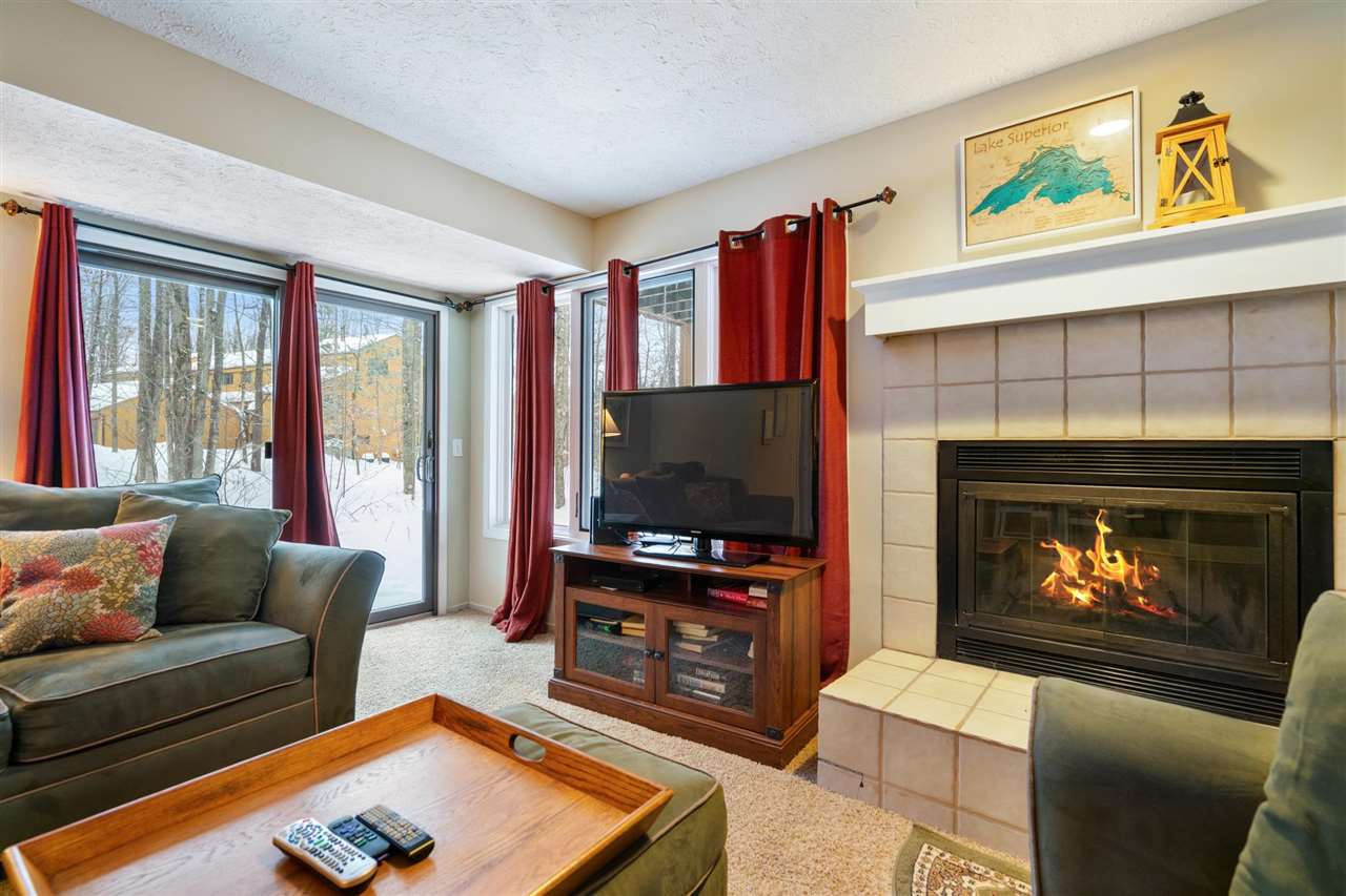 4749 S Pleasantview Road Harbor Springs MI 49740