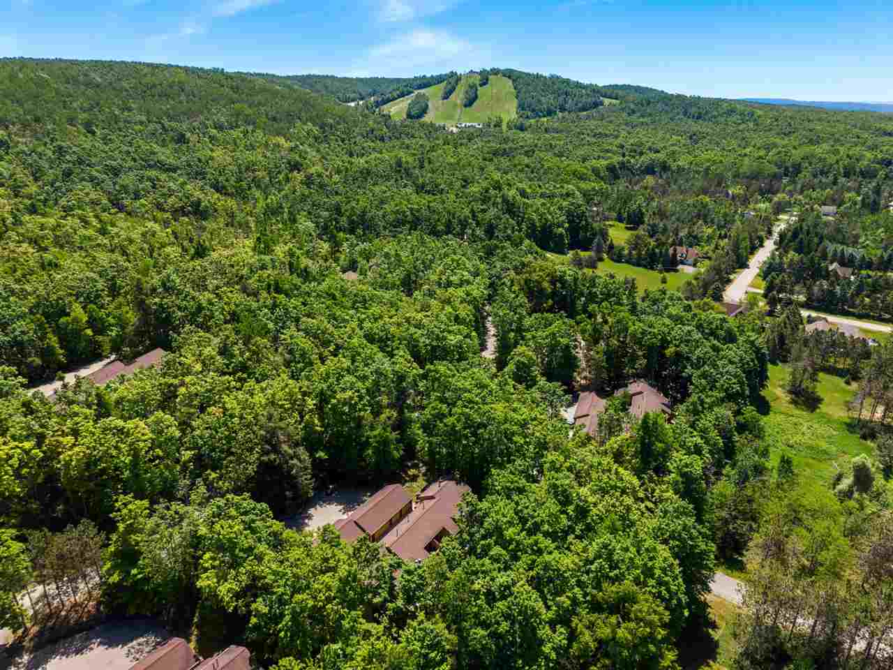 4749 S Pleasantview Road Harbor Springs MI 49740