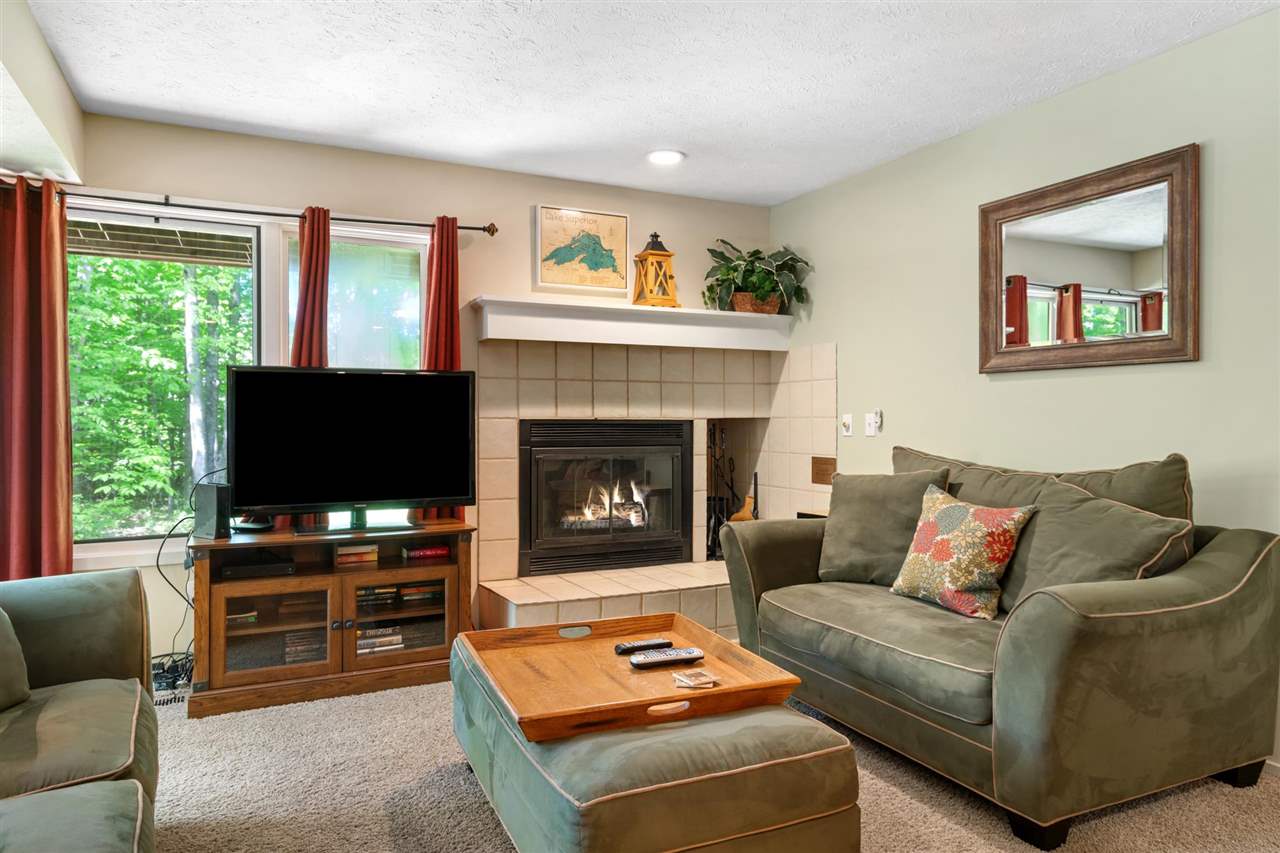 4749 S Pleasantview Road Harbor Springs MI 49740