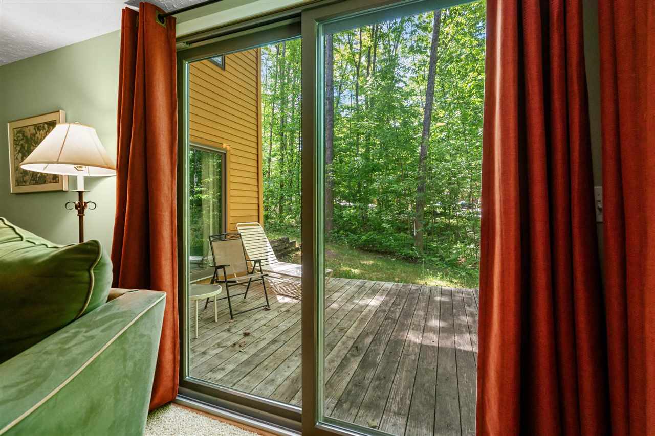 4749 S Pleasantview Road Harbor Springs MI 49740