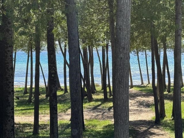 773 Beach Drive Harbor Springs MI 49770-0000