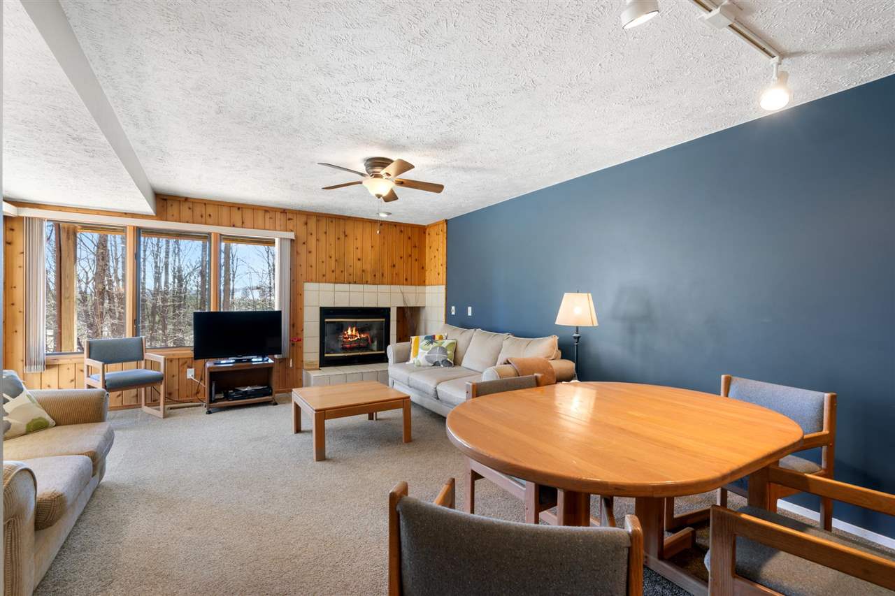 4749 S Pleasantview Road Harbor Springs MI 49740