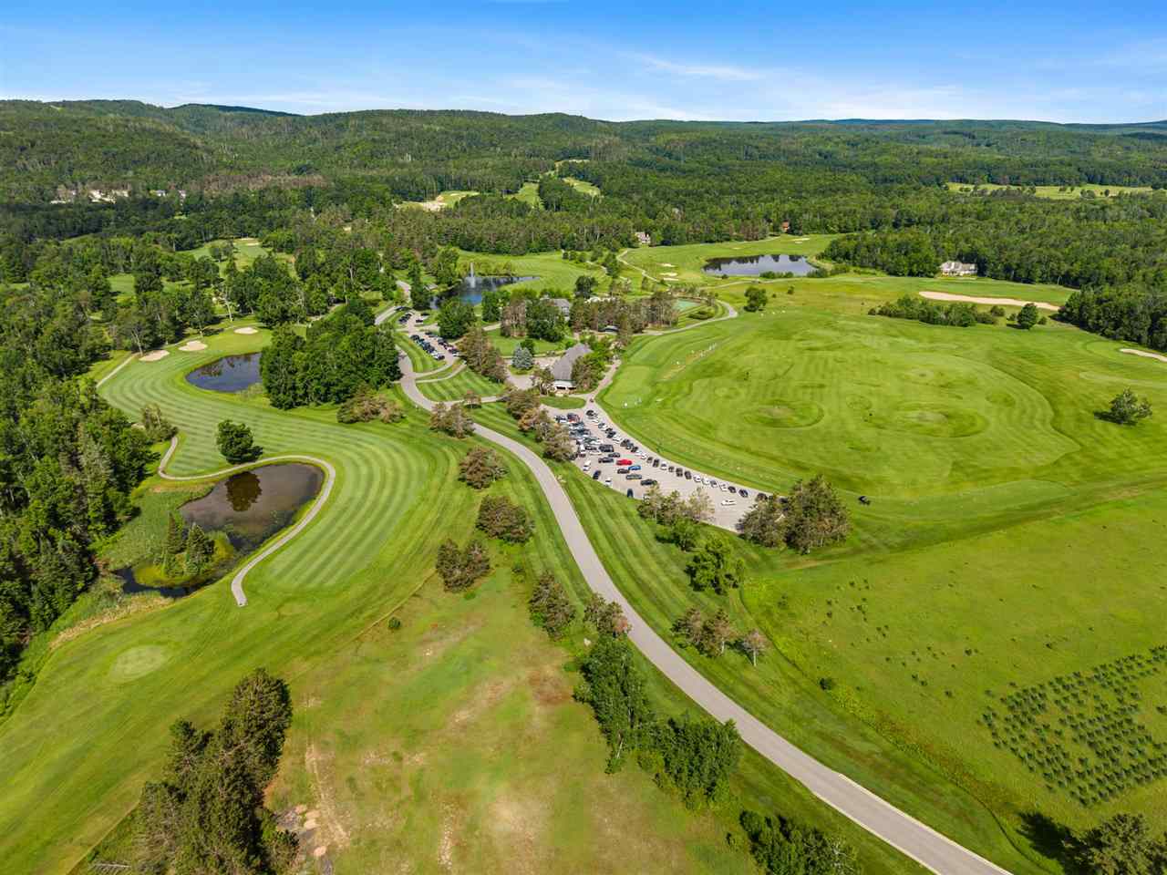4749 S Pleasantview Road Harbor Springs MI 49740