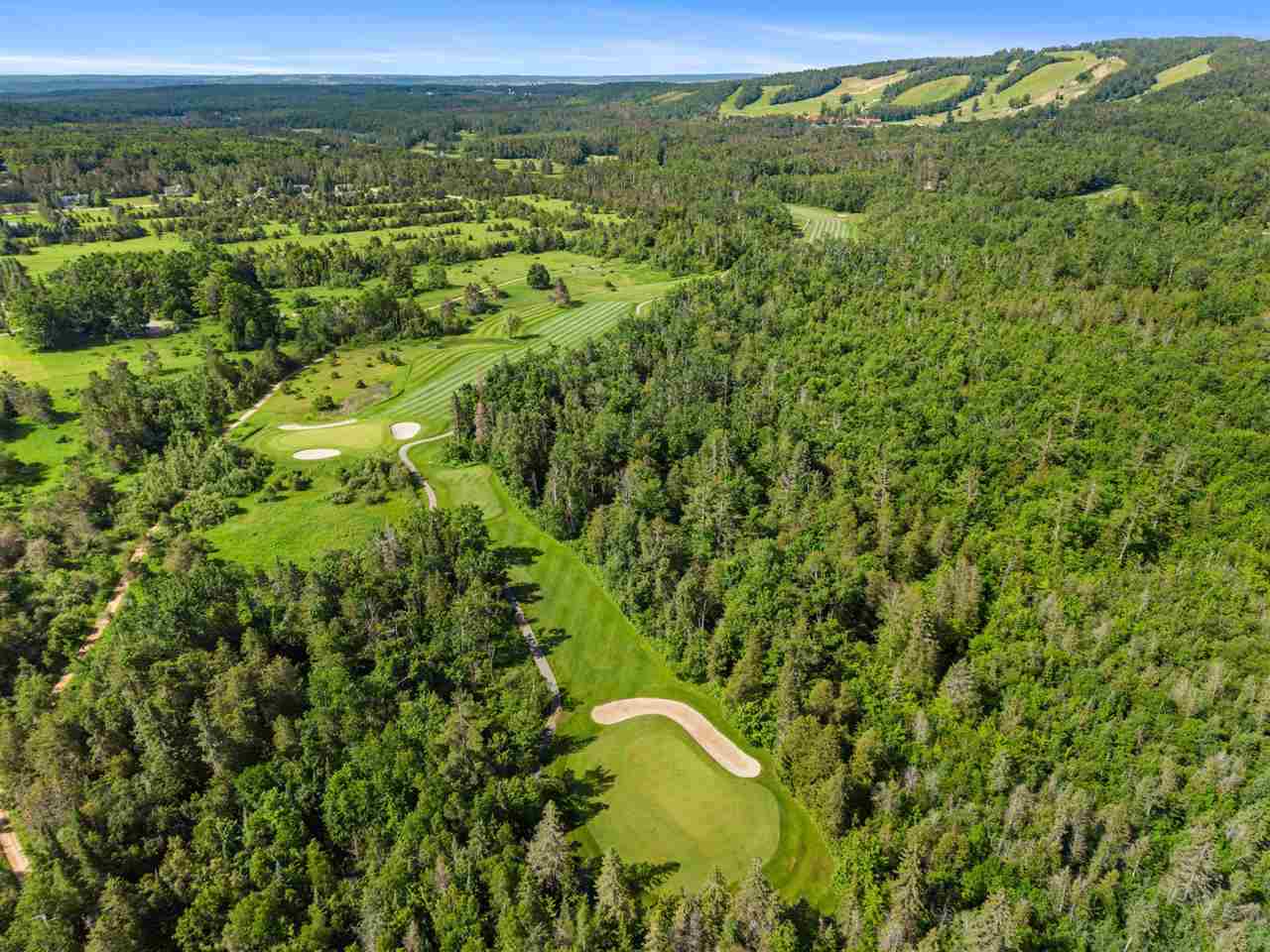 4749 S Pleasantview Road Harbor Springs MI 49740