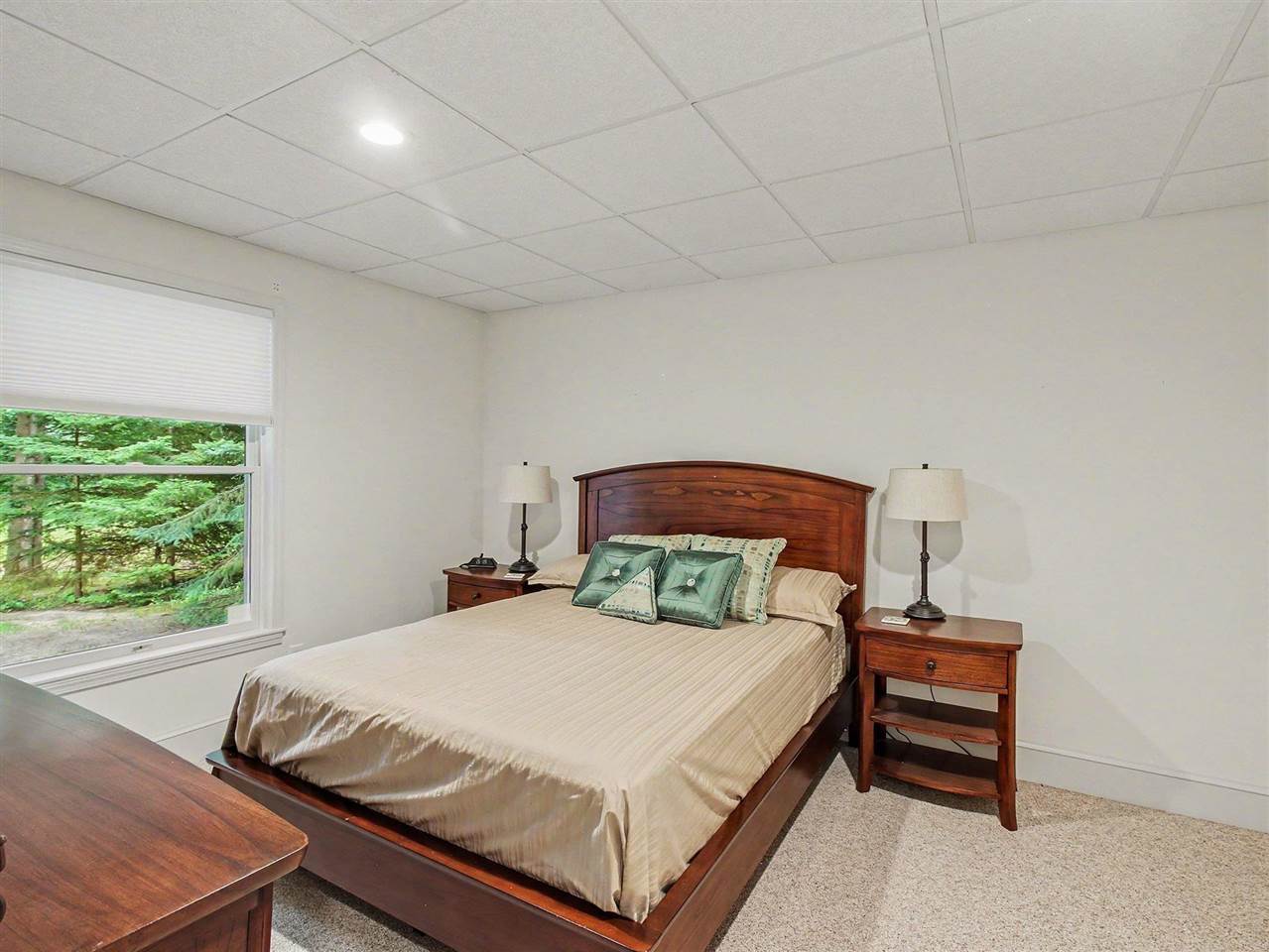 1041 Woods Court Petoskey MI 49770