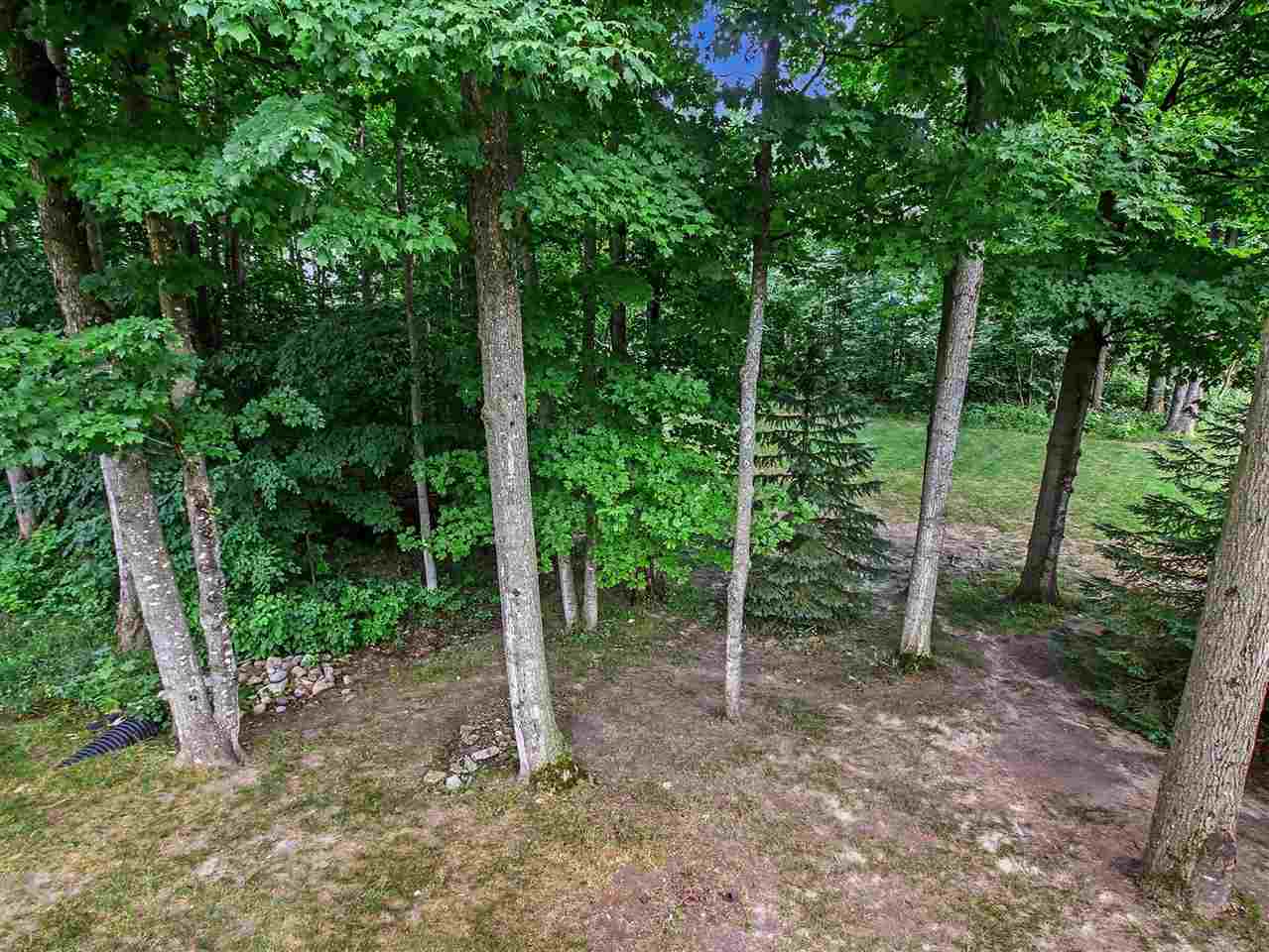 1041 Woods Court Petoskey MI 49770