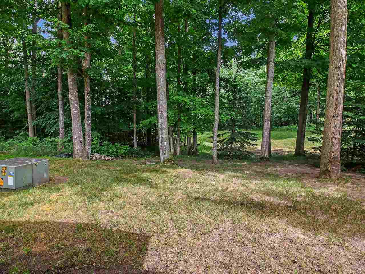 1041 Woods Court Petoskey MI 49770