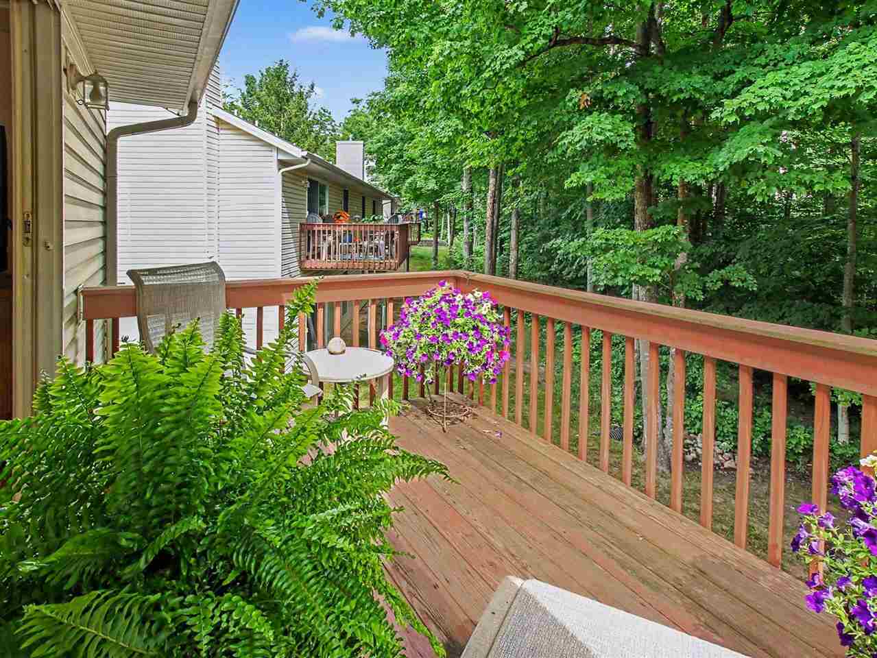 1041 Woods Court Petoskey MI 49770