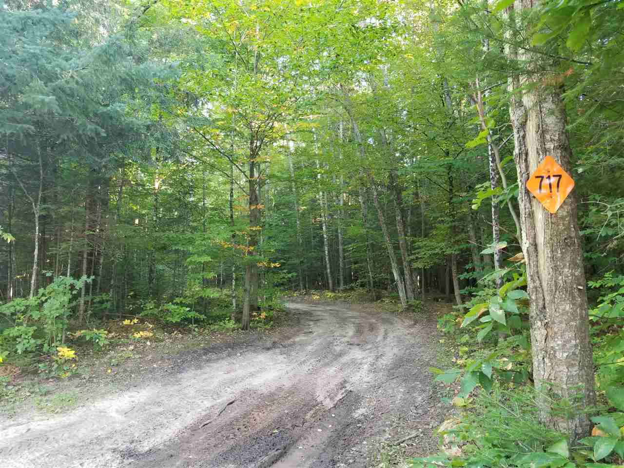 1185 Hideaway Valley Drive Harbor Springs MI 49740