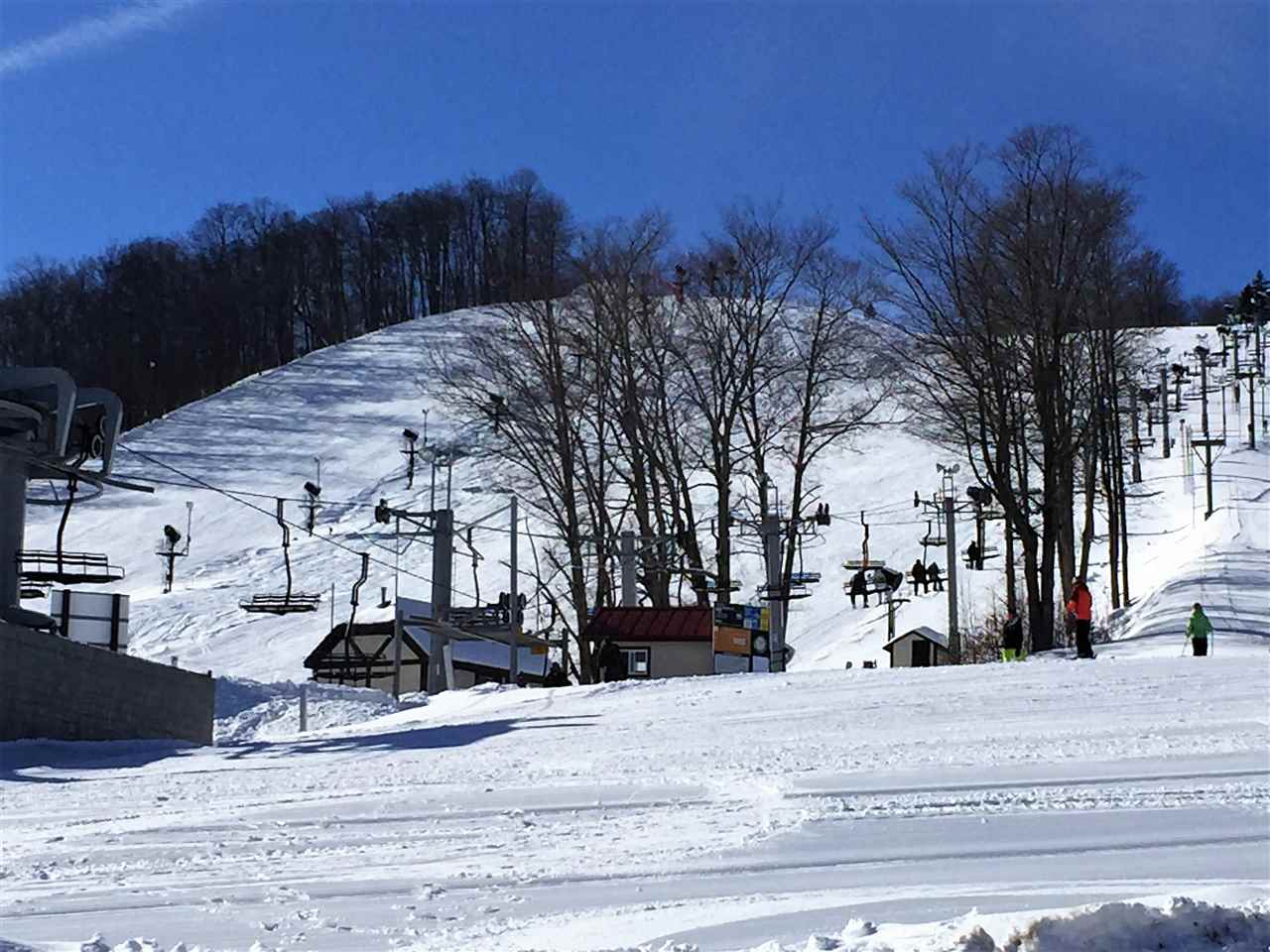 1185 Hideaway Valley Drive Harbor Springs MI 49740