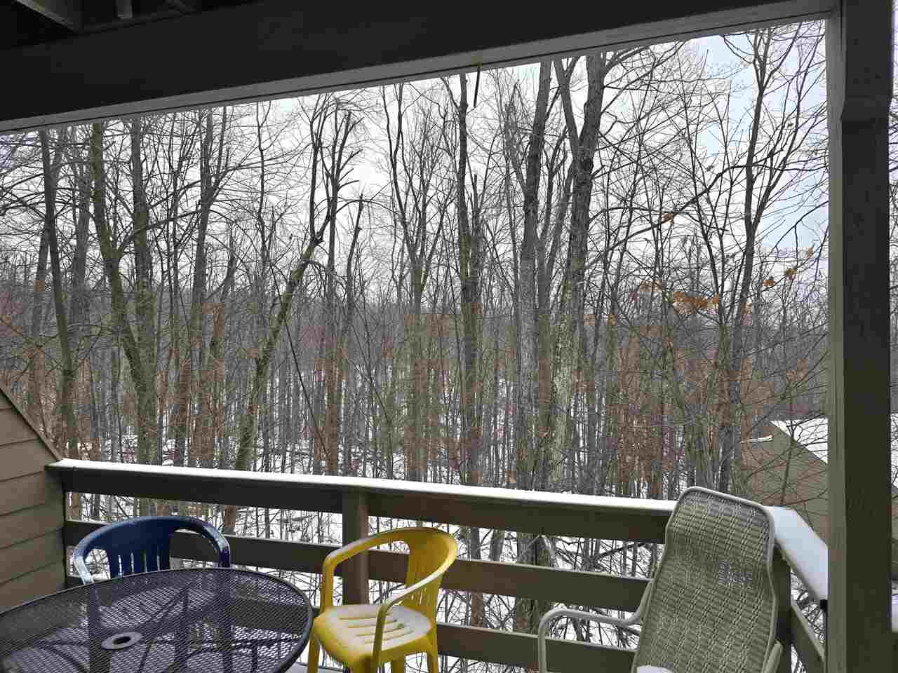 1185 Hideaway Valley Drive Harbor Springs MI 49740