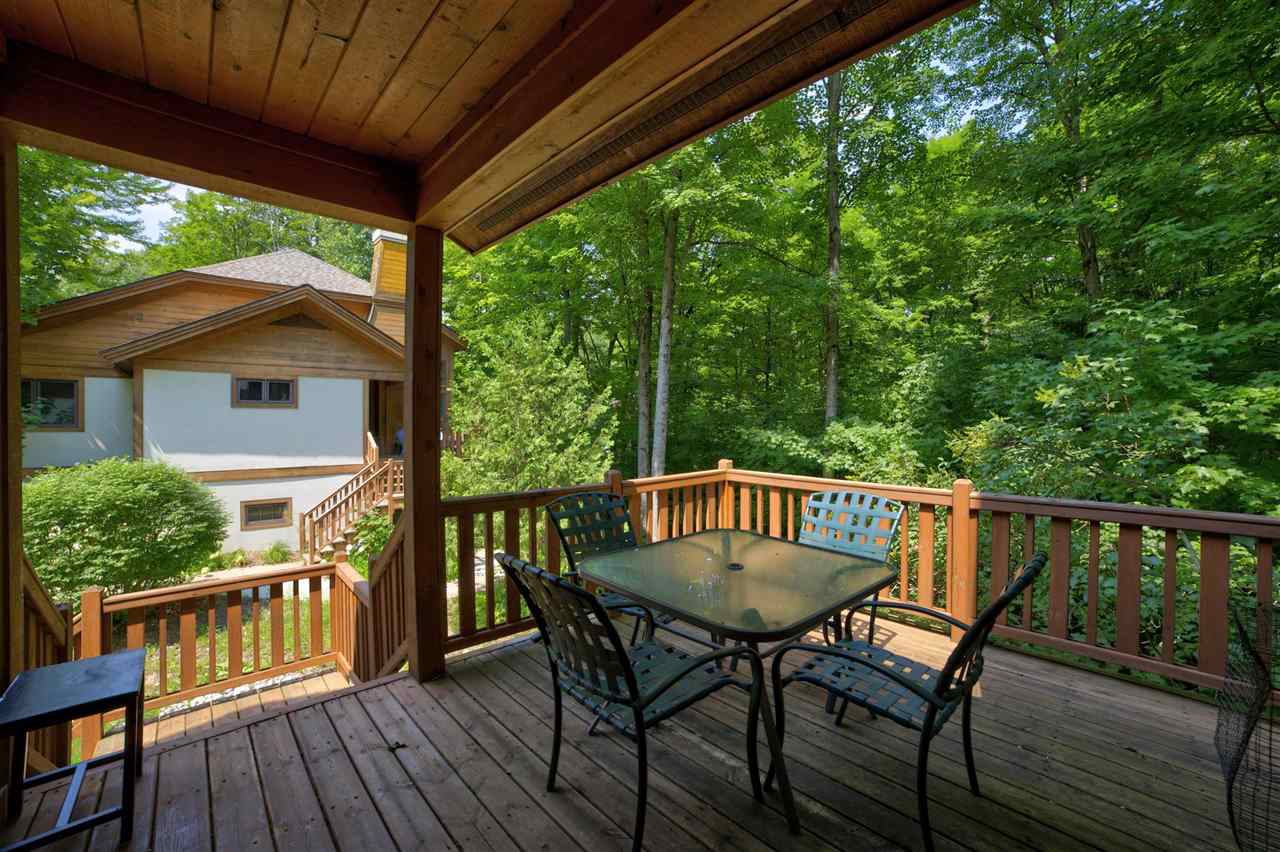 2199 Deerview Drive Boyne Falls MI 49713