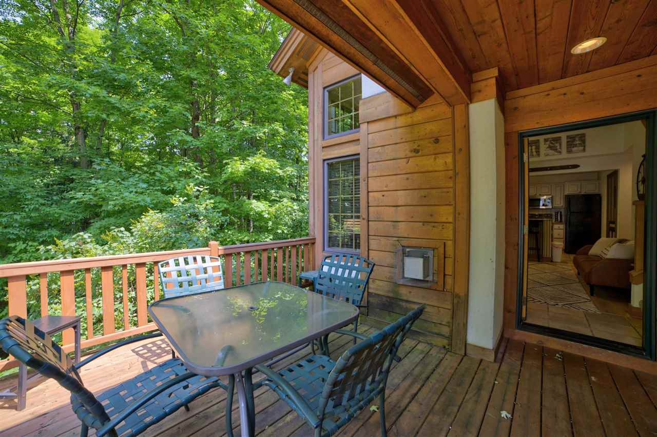 2199 Deerview Drive Boyne Falls MI 49713