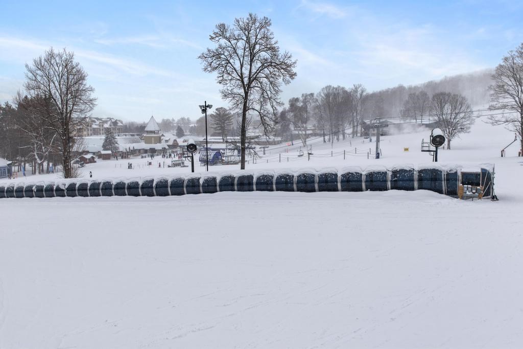 2206 Boyneland Drive Boyne Falls MI 49713