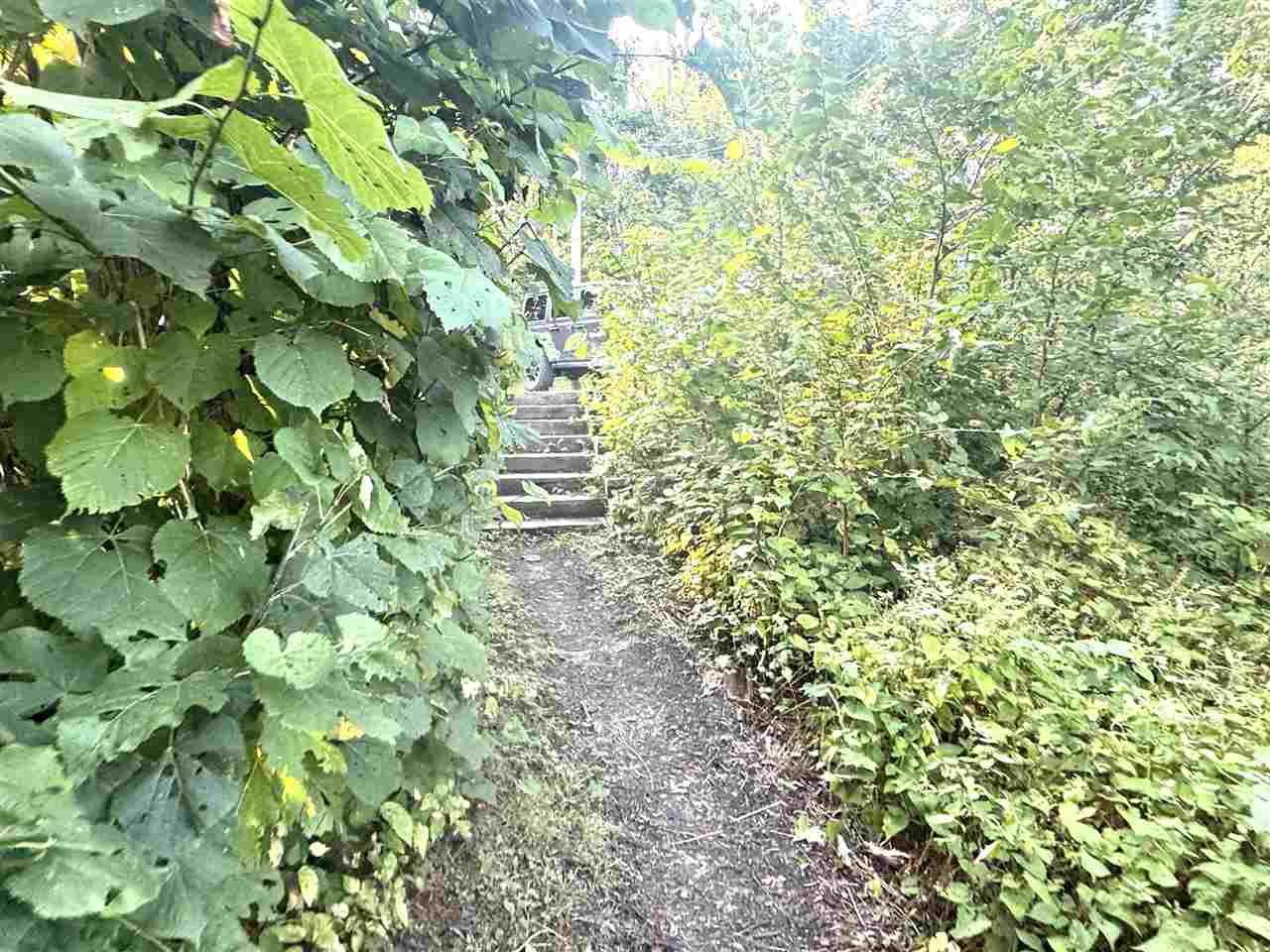 1923 Limberlost Gaylord MI 49735