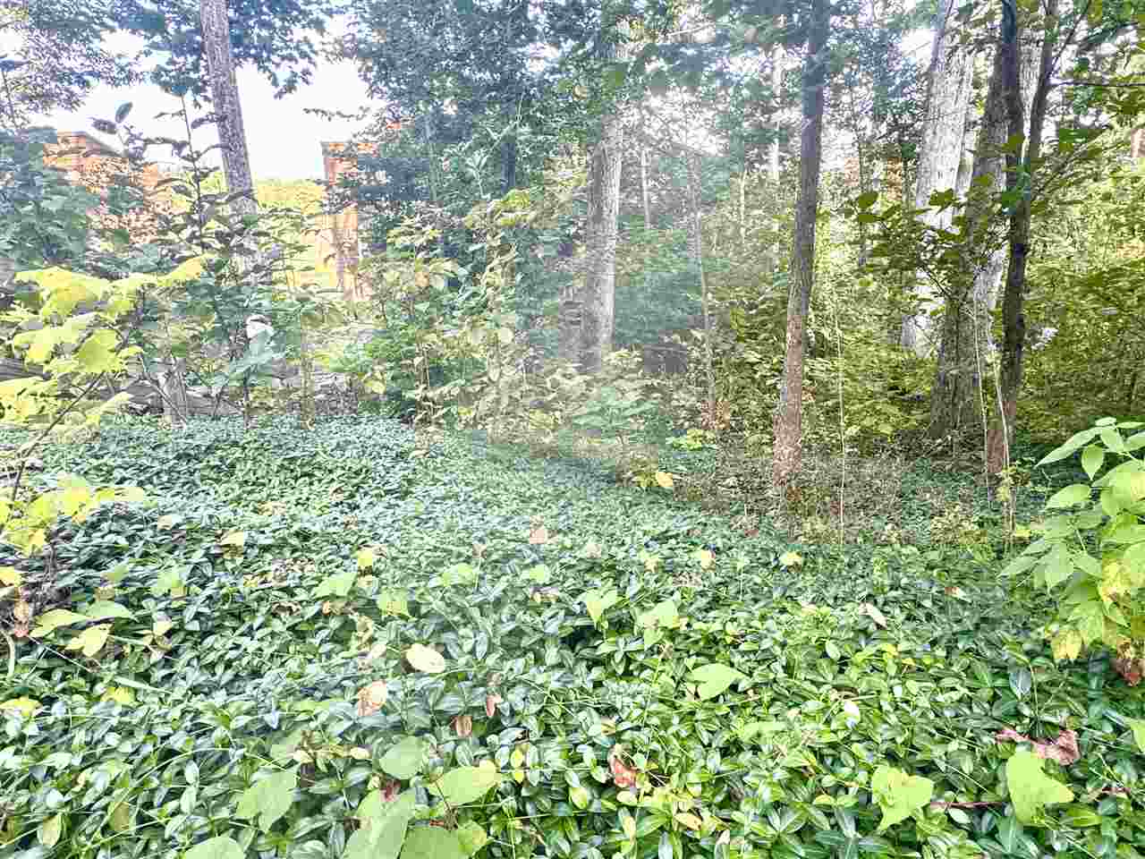 1923 Limberlost Gaylord MI 49735