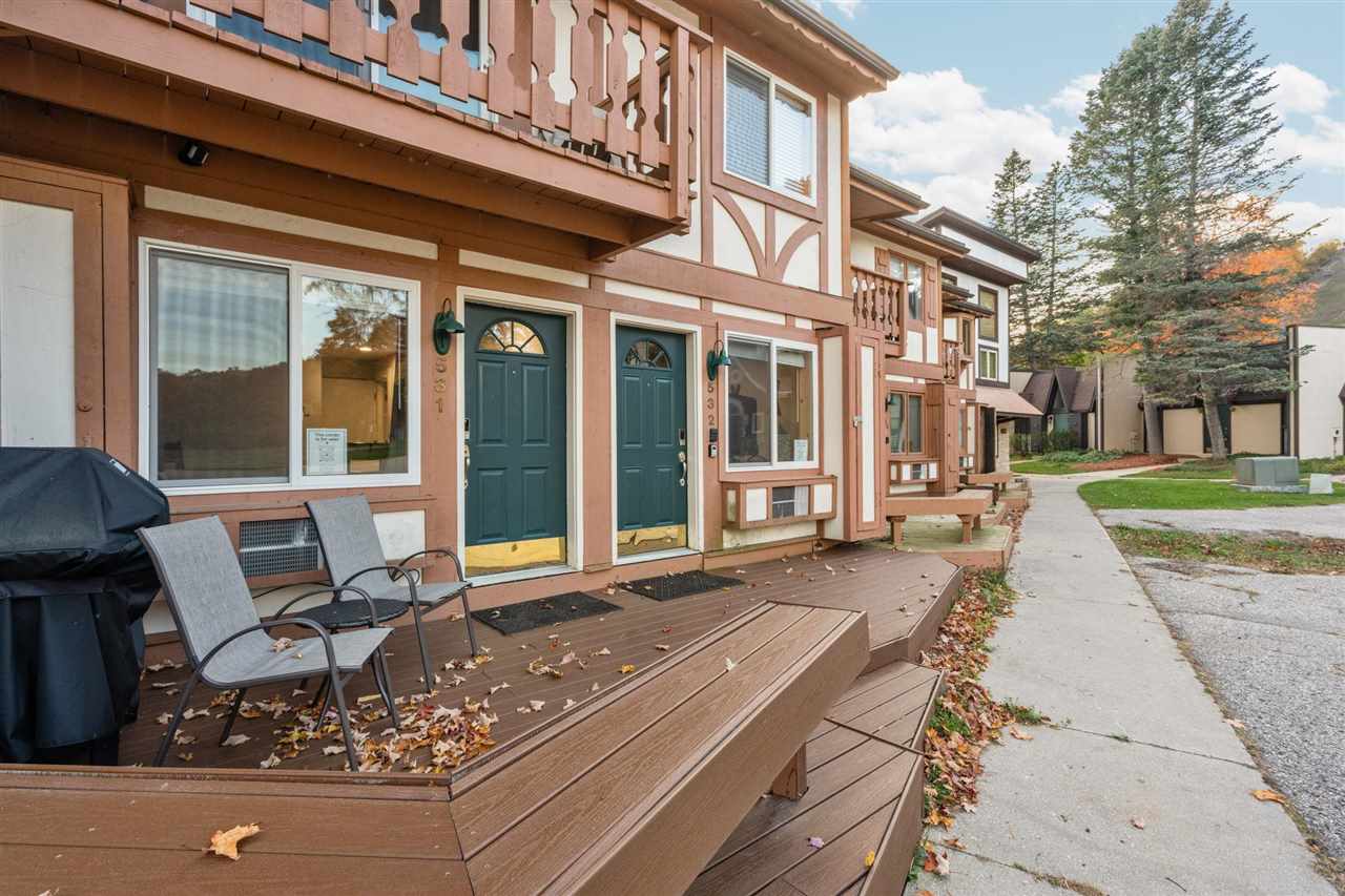 6519 Schuss Mountain Lane Custer MI 49659
