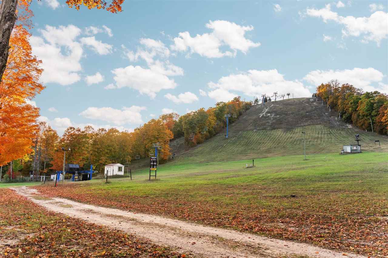 6519 Schuss Mountain Lane Custer MI 49659