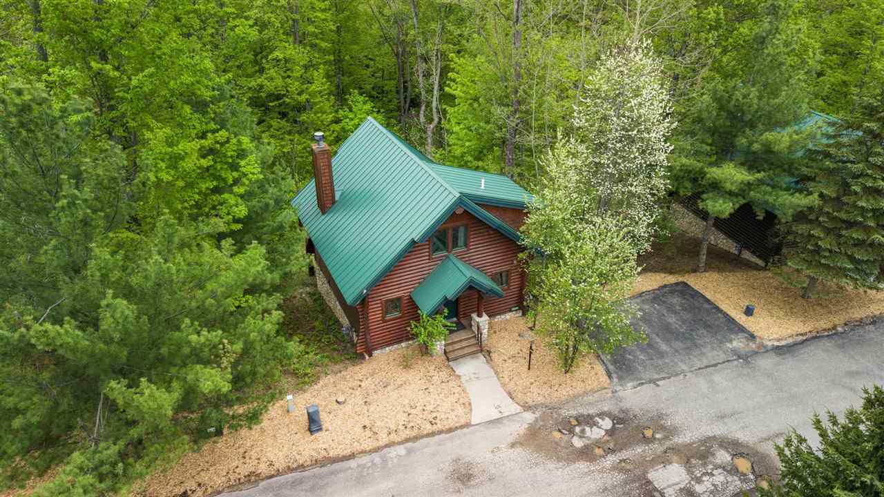 1259 Powder Ridge Drive Boyne City MI 49712